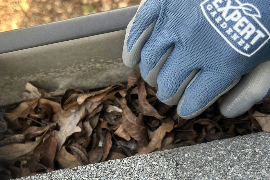 Gutter Cleaning Spartanburg