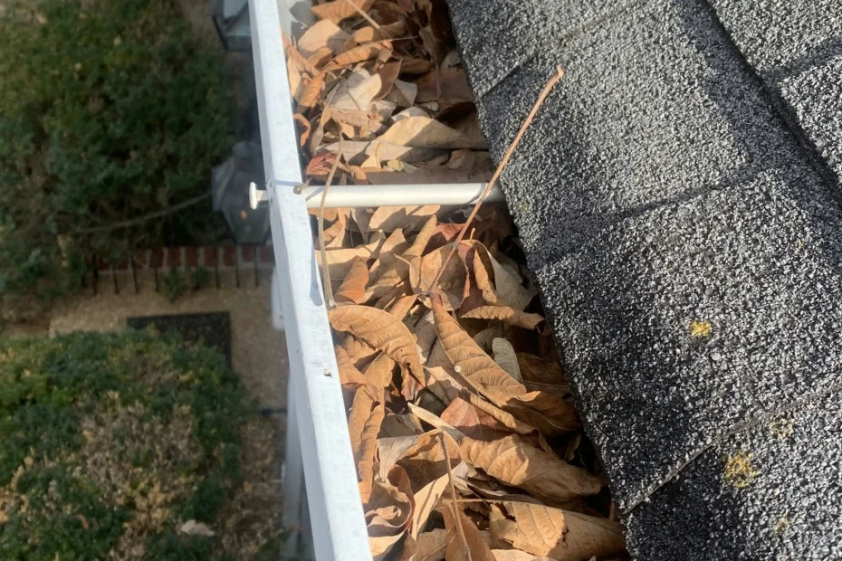 Gutter Cleaning Spartanburg